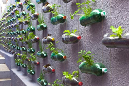 Awesome Bottle Wall