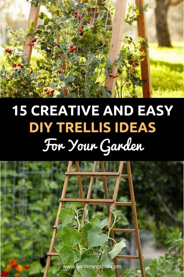 15 Creative And Easy DIY Trellis Ideas For Your Garden