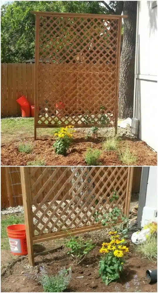 20 Easy DIY Trellis Ideas To Add Charm and Functionality To Your Garden