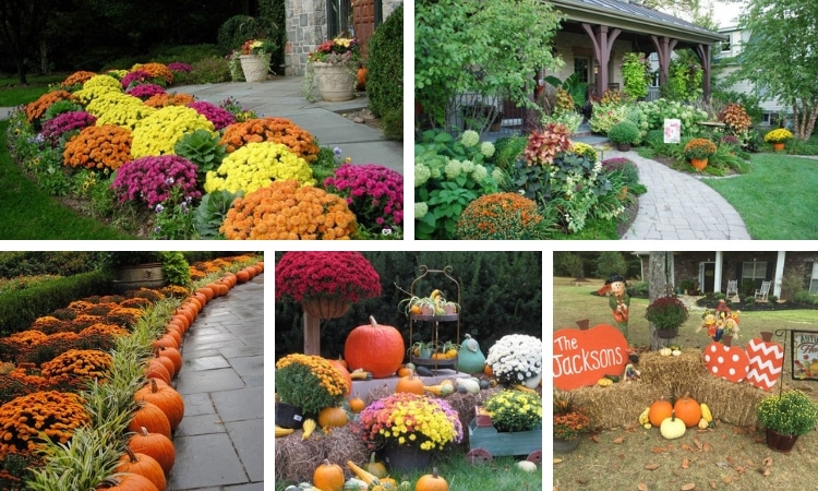 Amazing Fall Front Yard Decorations That Will Fascinate You