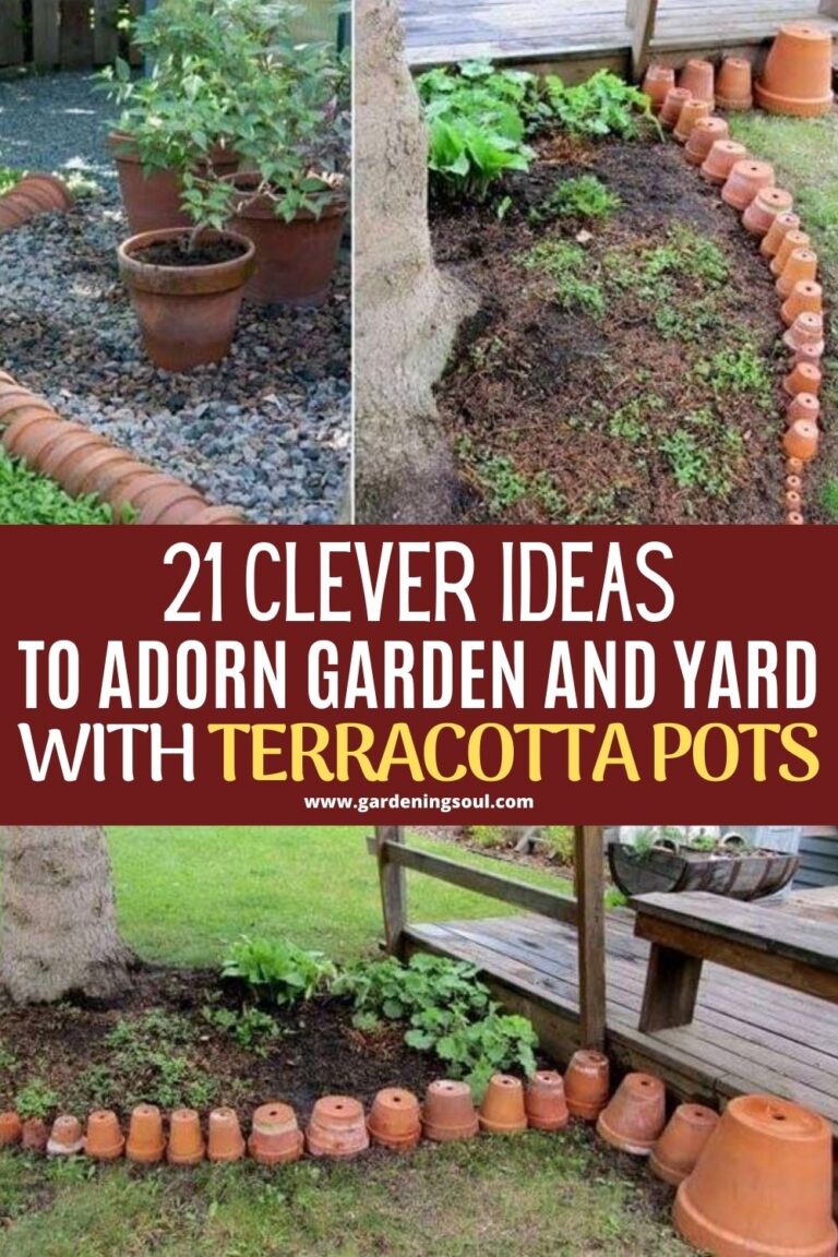 21 Clever Ideas to Adorn Garden and Yard with Terracotta Pots