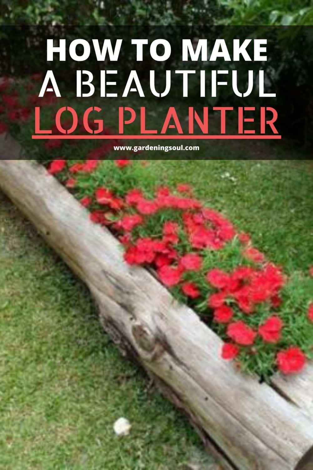 How To Make A Beautiful Log Planter