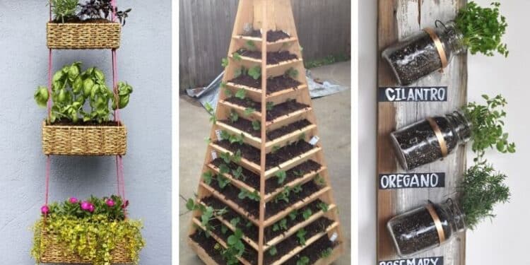 Picture of 14 Creative Space-Saving Gardening Ideas