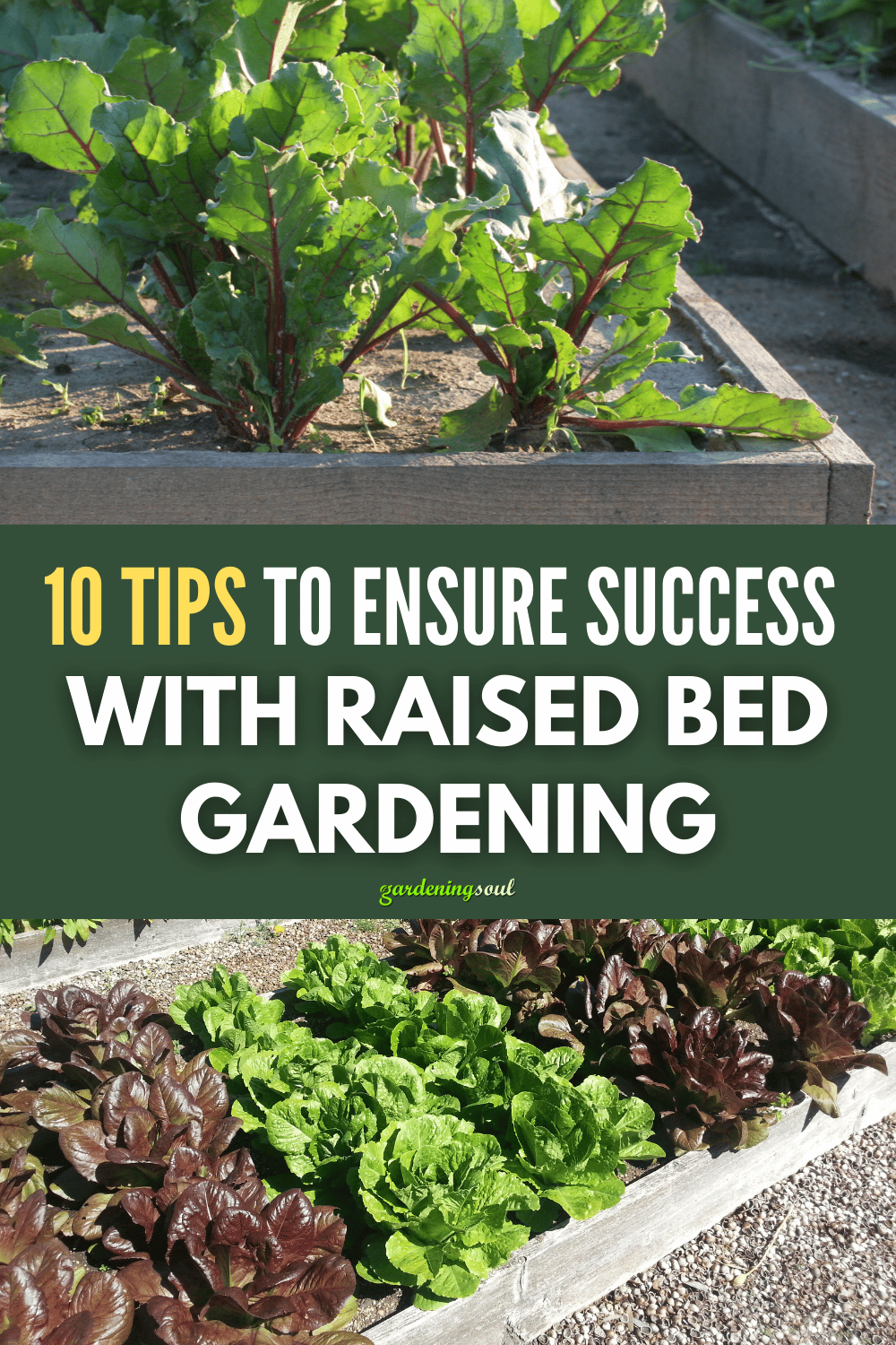 10 Tips To Ensure Success With Raised Bed Gardening
